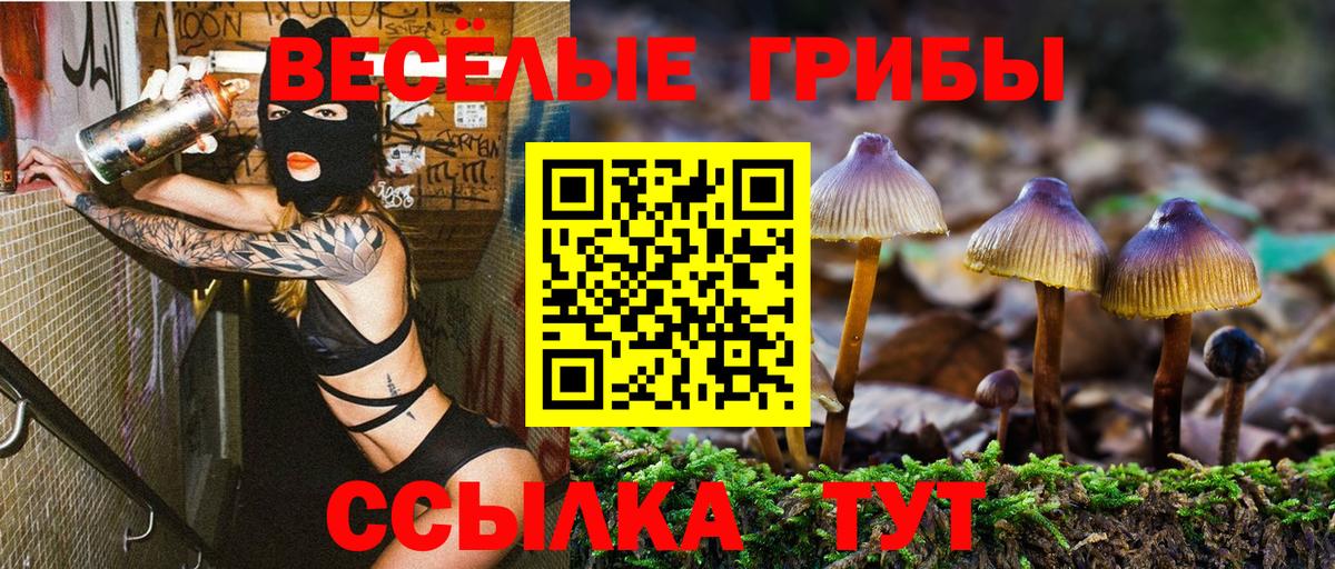 Галлюциногенные грибы ЛСД Коломна